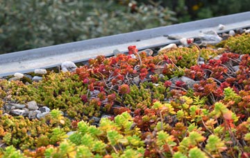 the cost of St Godwalds green roof installation