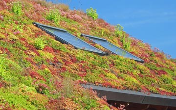 St Godwalds living roof systems