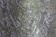 St Godwalds fibreglass roof work